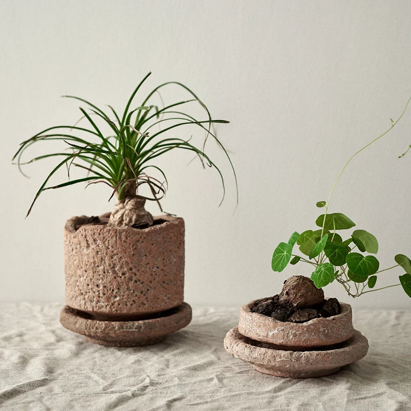 Vaso Decorativo Trevo
